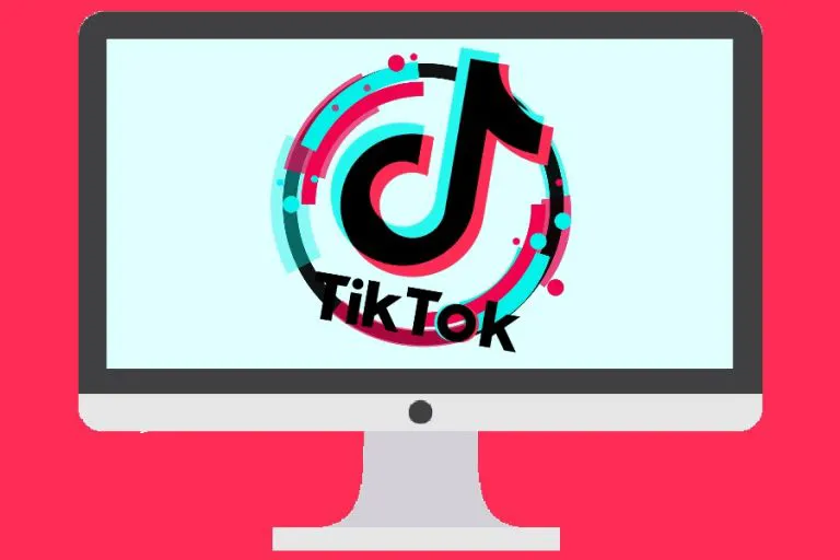How to Search Someone on TikTok on Computer 2023