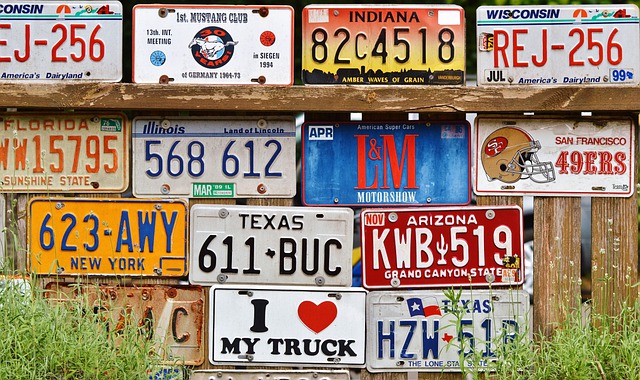 License Plate Search: What Information Can You Get