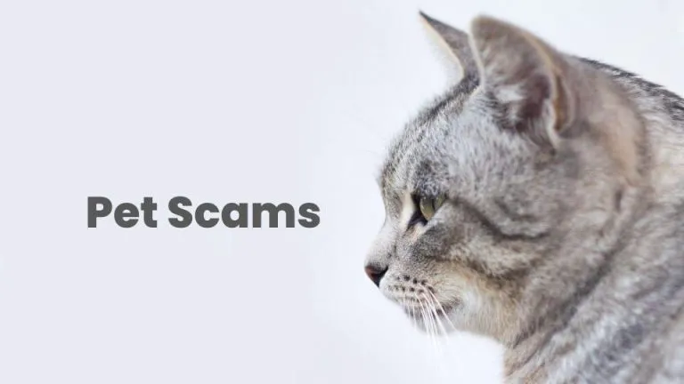 2023 Pet Scams | How to Spot and Avoid Easily